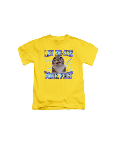 d82 Your Feet Offensive Cat Meme+Yellow.jpg