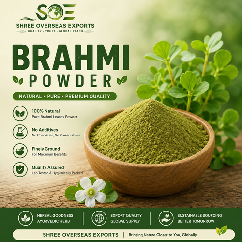 Brahmi Powder Private Label Manufacturer The Growing Demand for Premium Herbal Wellness Solutions.png