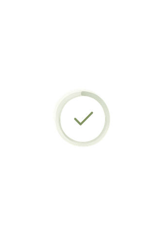 CORRECT ICON.png