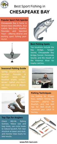Best Sport Fishing in Chesapeake Bay.png