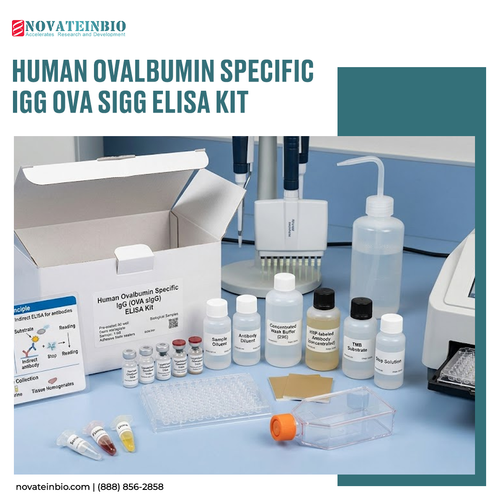 Human Ovalbumin Specific IgG OVA sIgG ELISA Kit.png