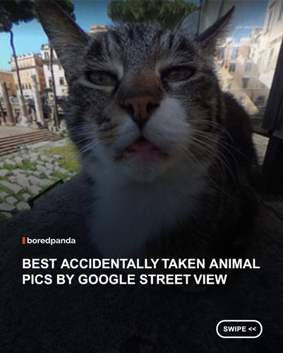 swipe to read.jpg