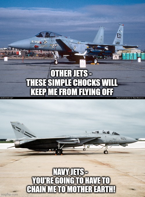 1000242117.jpg