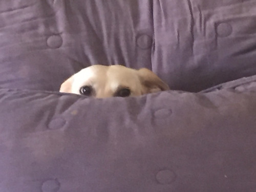 peek.jpg