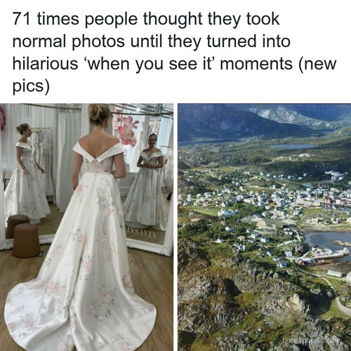 curiosities wholesome world.jpg