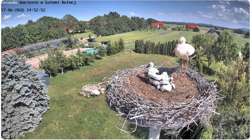 MWSnap612.jpg