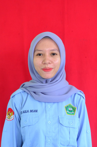 SITI AULIA INSANI 2.jpg