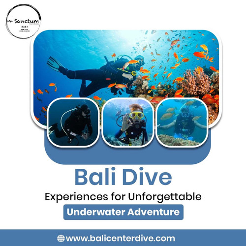 Bali Dive Experiences for Unforgettable Underwater Adventure.jpg