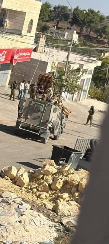صورة الخبر