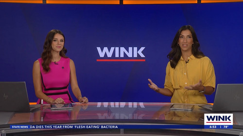 08.24 11.00.00 WINK News at 6 00am ᴺᵉʷ. Morning news coverage..ts snapshot 54.31.324.jpg