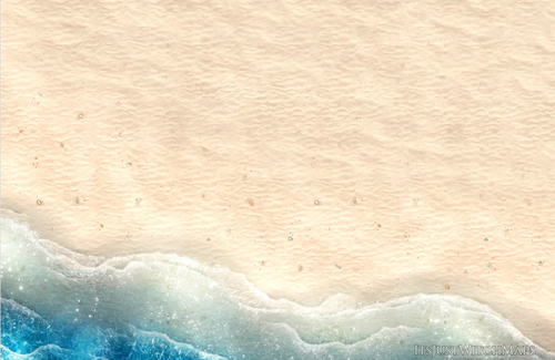 Fluke Beach.png