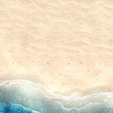 Fluke Beach