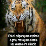 63558.gif