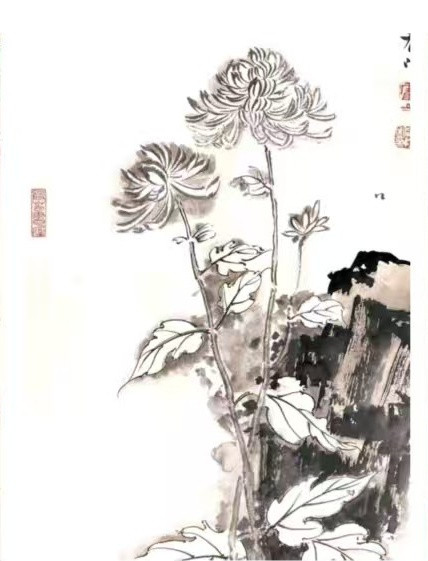 1f10c5576e90.jpg