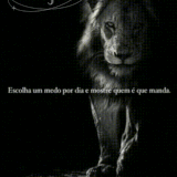 63917.gif