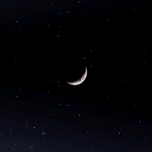 9714.jpg