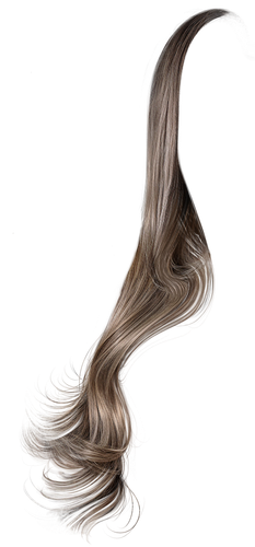 IMG 8842.png