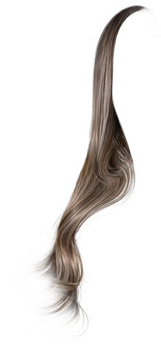 IMG 8843.png