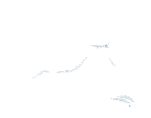 Untitled697 20260829110805.png