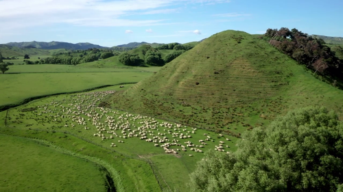 Country.Calendar.S2022.720p.TVNZ.WEB DL.AAC2.0.H.264 02.png