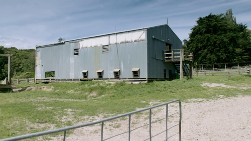 Country.Calendar.S2022.720p.TVNZ.WEB DL.AAC2.0.H.264 01.png