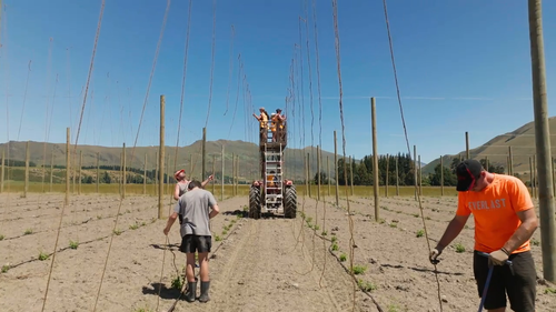 Country.Calendar.S2023.720p.TVNZ.WEB DL.AAC2.0.H.264 03.png