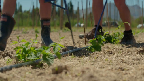Country.Calendar.S2023.720p.TVNZ.WEB DL.AAC2.0.H.264 01.png