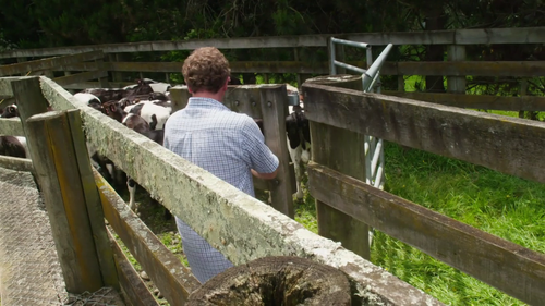Country.Calendar.S2024.720p.TVNZ.WEB DL.AAC2.0.H.264 05.png