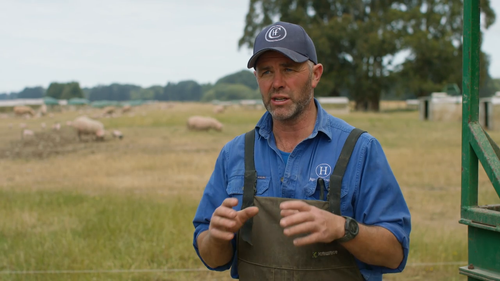 Country.Calendar.S2025.720p.TVNZ.WEB DL.AAC2.0.H.264 02.png