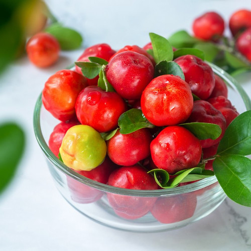 BarbadosCherry Red 4 40b40a11 ca8a 44fb 962d 6da5e6442445.jpg
