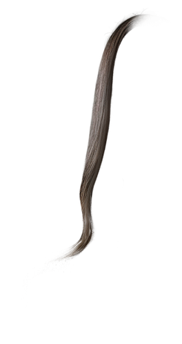 IMG 8828.png