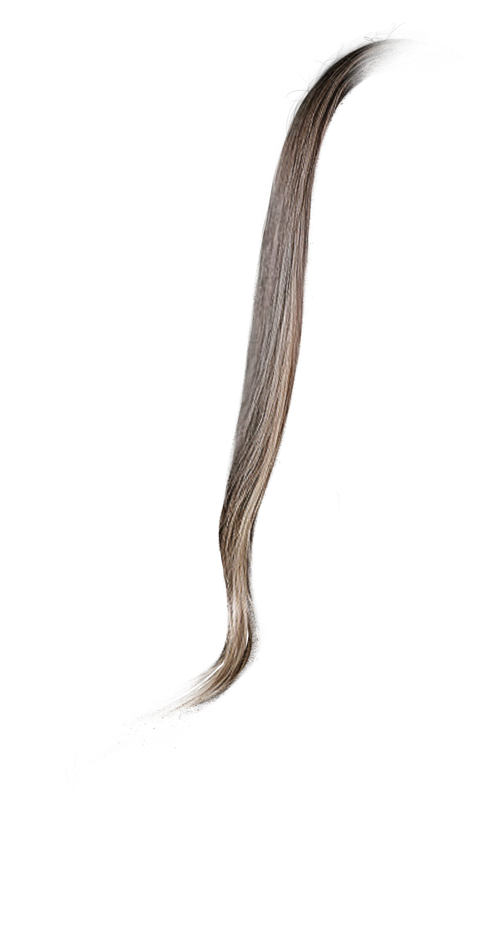 IMG 8826.png