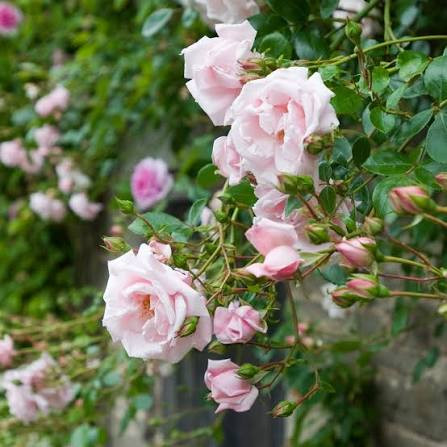 images (17).jpg