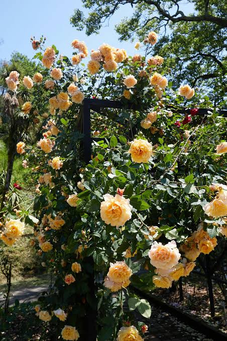 images (24).jpg