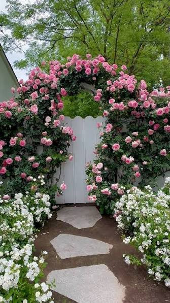 images (20).jpg