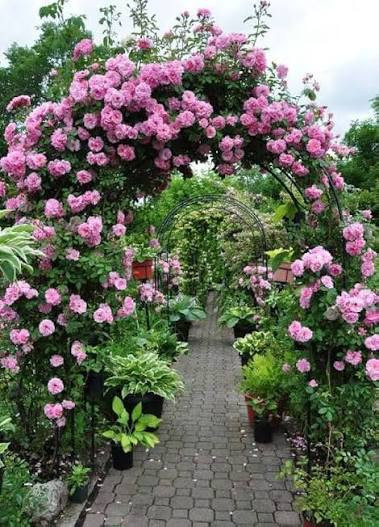 images (21).jpg