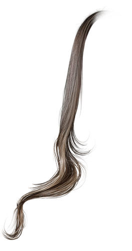 IMG 8829.png