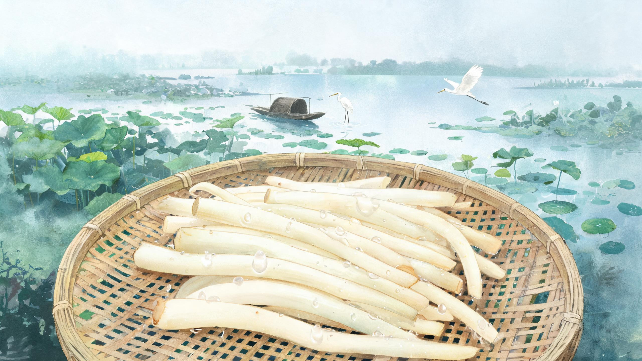 洪湖藕带