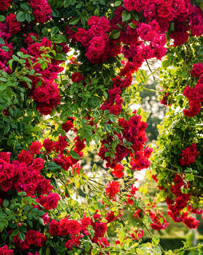 images (2).jpg