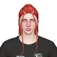 e8ca904e296b.png