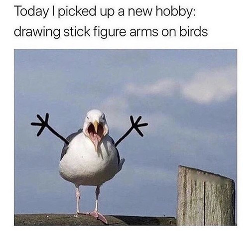 1000001107