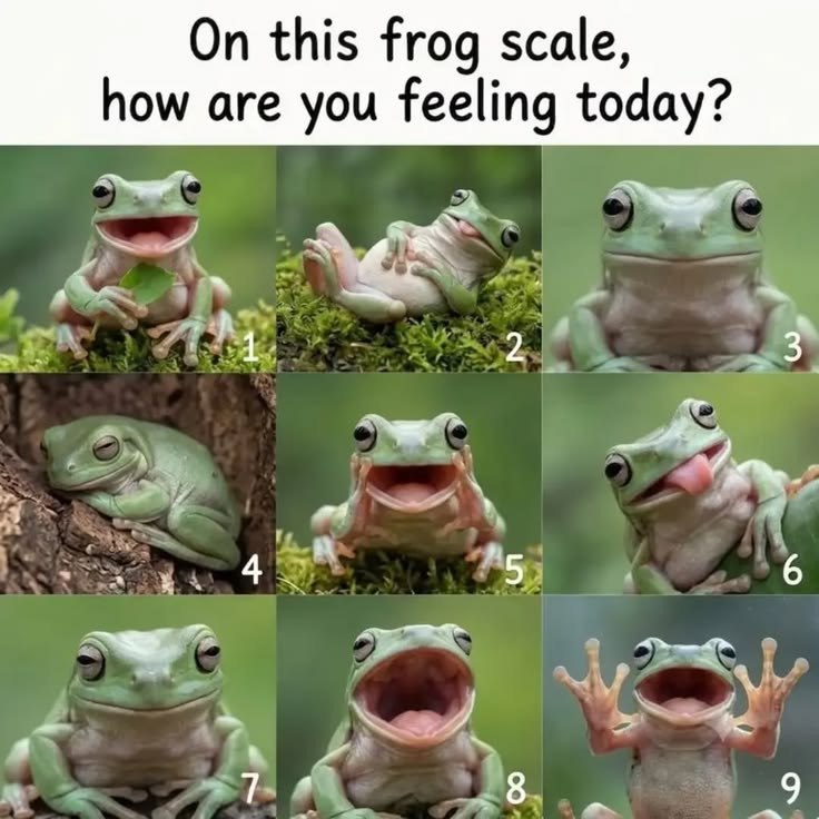 CpDt7cu.jpg