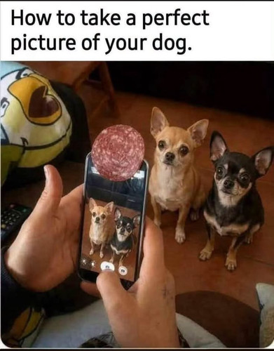 1000001100