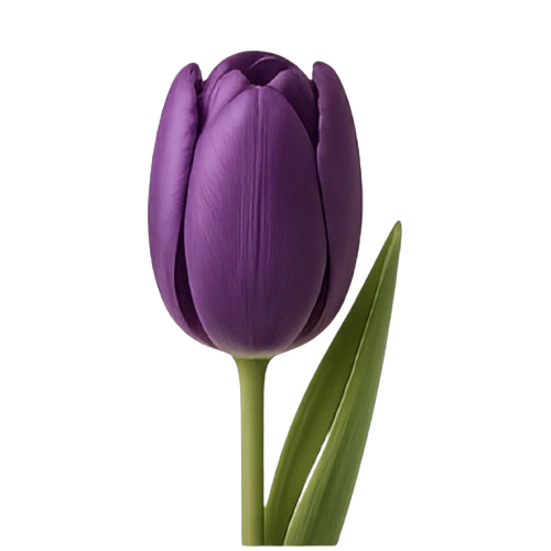 IMG 3786.png
