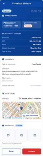 01 visualizar sinistro.png