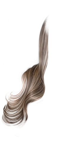 IMG 8821.png