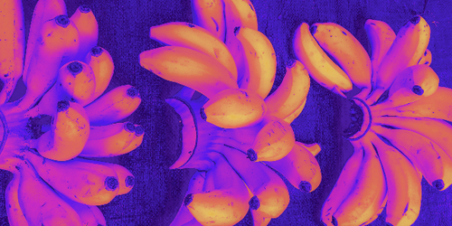 temp.png