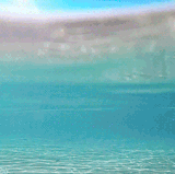 giphy 64.gif