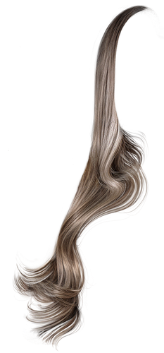 IMG 8819.png