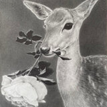 cover.2